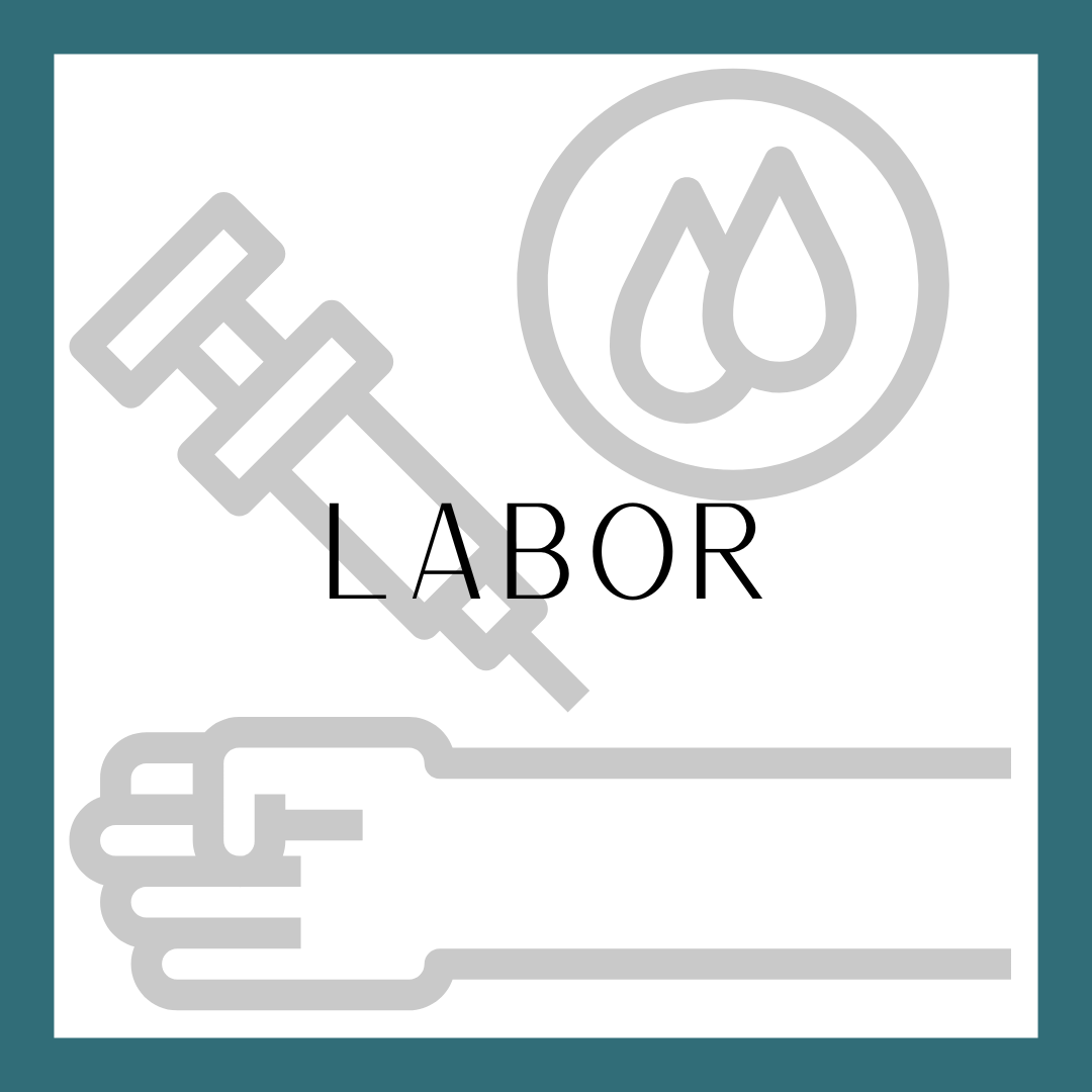MODUL 4 D:  Labor