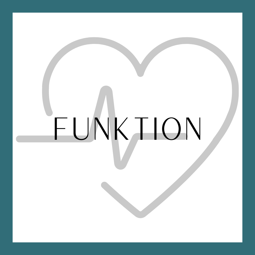 MODUL 4 E: Funktion